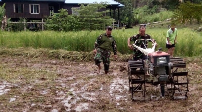 Satgas Operasi Teritorial TNI TA 2020 Siapkan Lahan Semai 